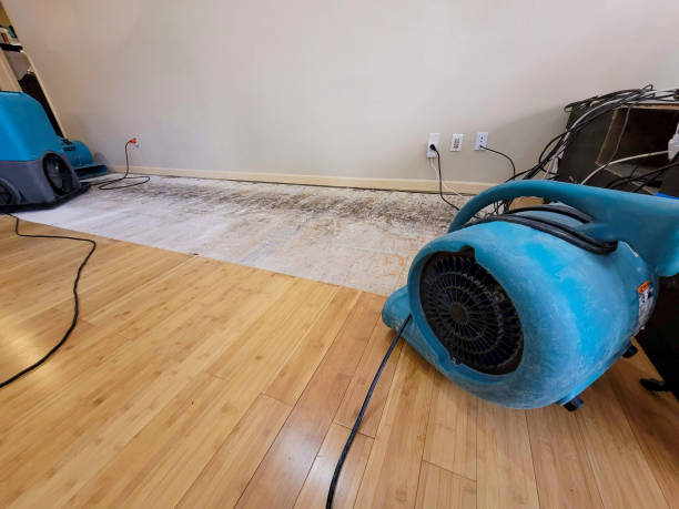 Professional Structural Drying technician working in Orland, ME